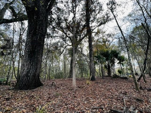 5229 NW 72ND WAY, BELL, FL, 32619