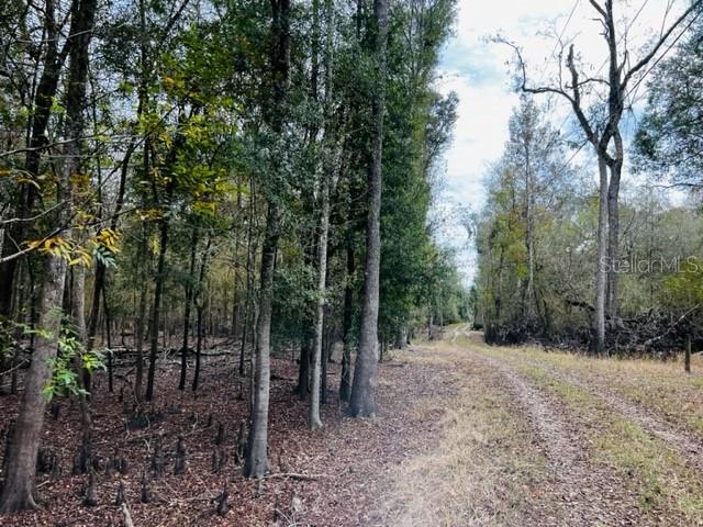 5229 NW 72ND WAY, BELL, FL, 32619