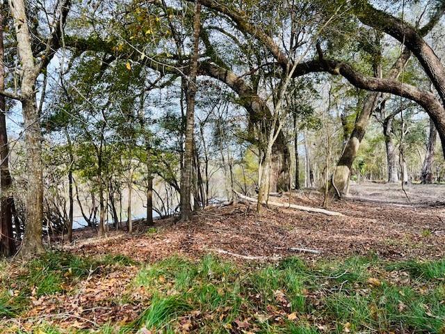 5229 NW 72ND WAY, BELL, FL, 32619