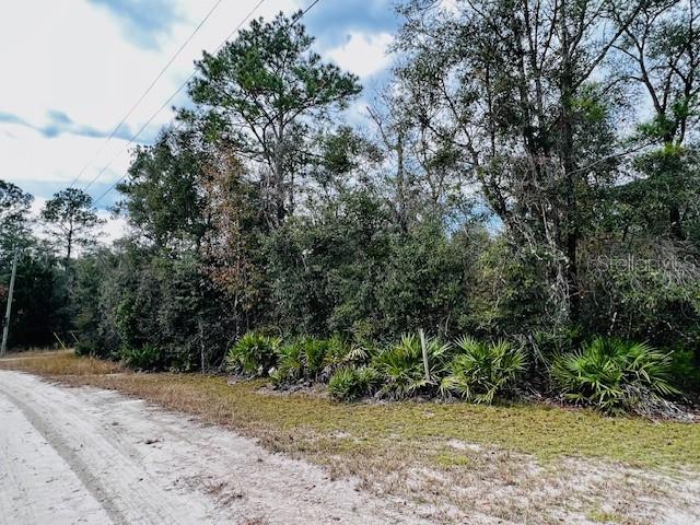 5229 NW 72ND WAY, BELL, FL, 32619