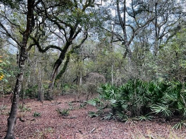 5229 NW 72ND WAY, BELL, FL, 32619