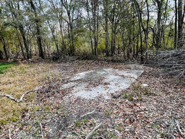 5229 NW 72ND WAY, BELL, FL, 32619