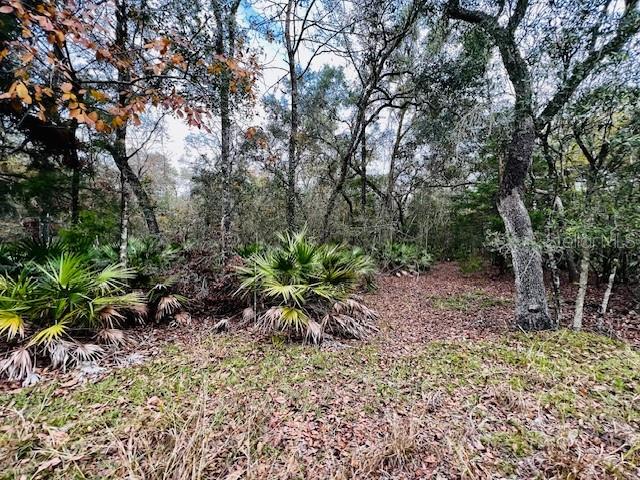 5229 NW 72ND WAY, BELL, FL, 32619