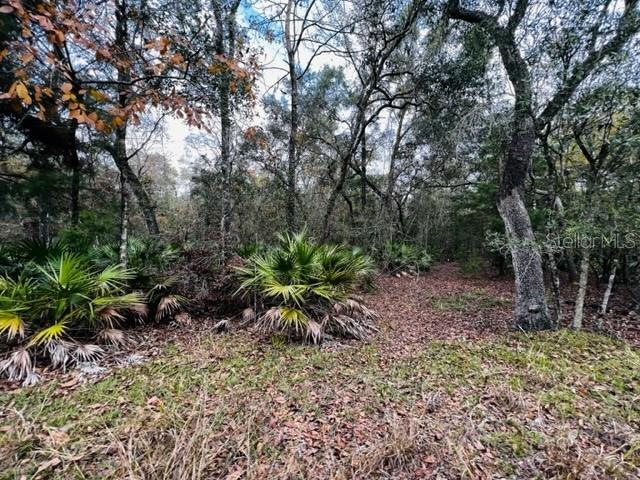 5229 NW 72ND WAY, BELL, FL, 32619