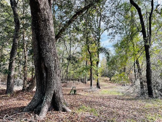 5229 NW 72ND WAY, BELL, FL, 32619