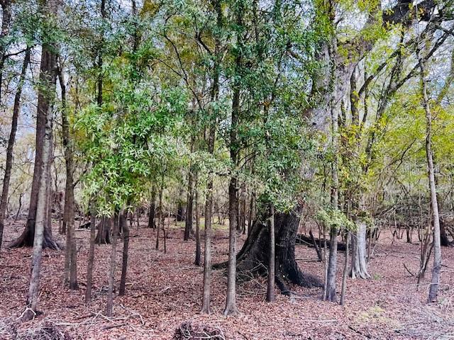 5229 NW 72ND WAY, BELL, FL, 32619