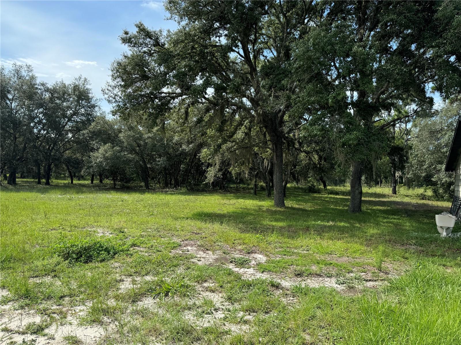 15536 PETER MAX BLVD, HUDSON, FL, 34669