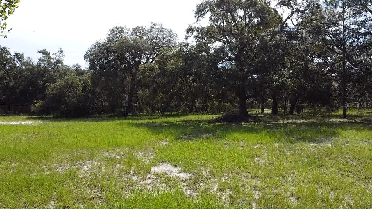 15536 PETER MAX BLVD, HUDSON, FL, 34669