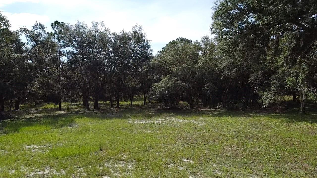 15536 PETER MAX BLVD, HUDSON, FL, 34669