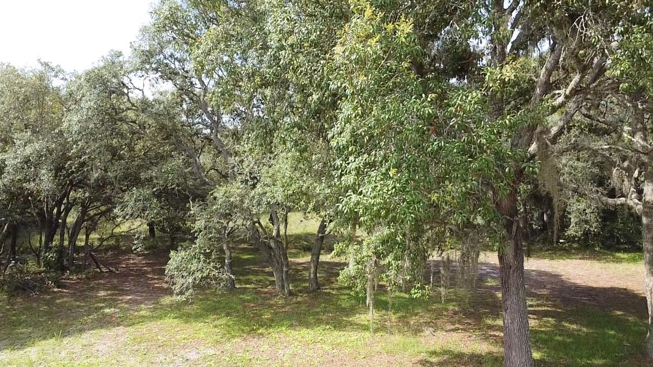 15536 PETER MAX BLVD, HUDSON, FL, 34669