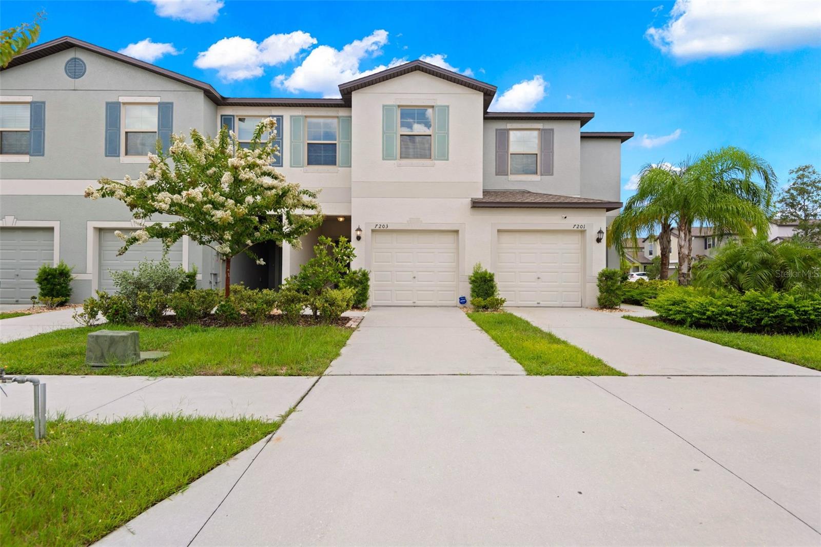 7203 SWEET ALYSSUM CT, TAMPA, FL, 33619