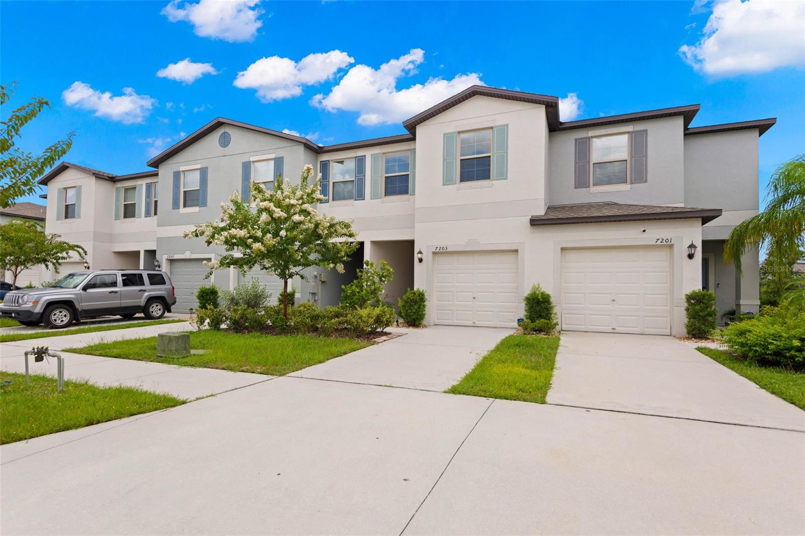 7203 SWEET ALYSSUM CT, TAMPA, FL, 33619