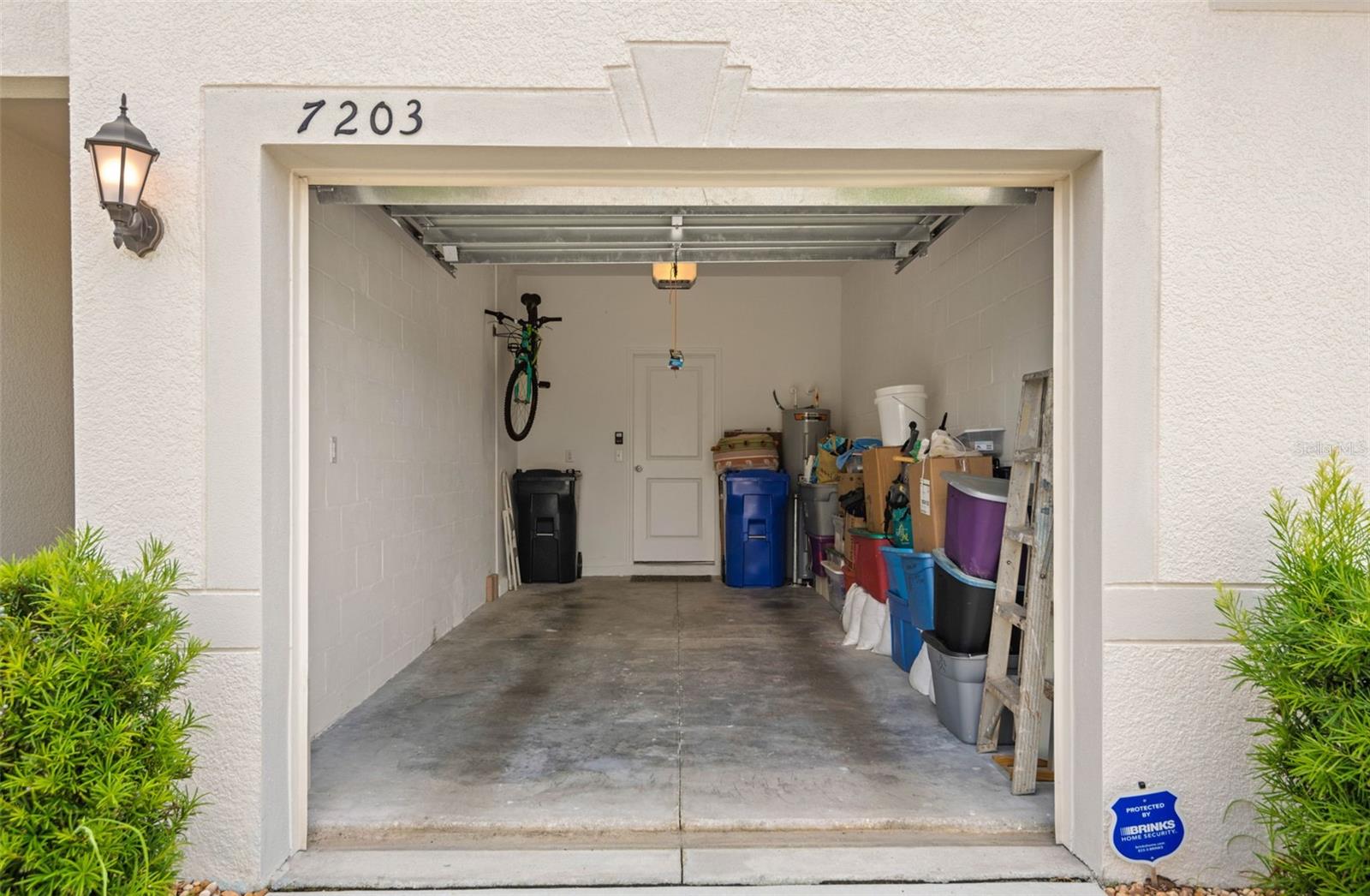 7203 SWEET ALYSSUM CT, TAMPA, FL, 33619