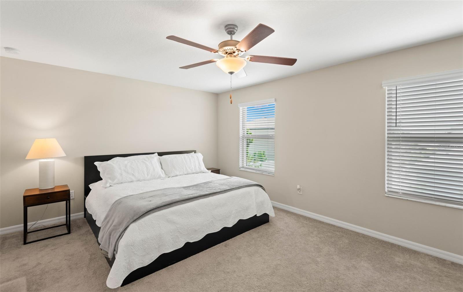 7203 SWEET ALYSSUM CT, TAMPA, FL, 33619