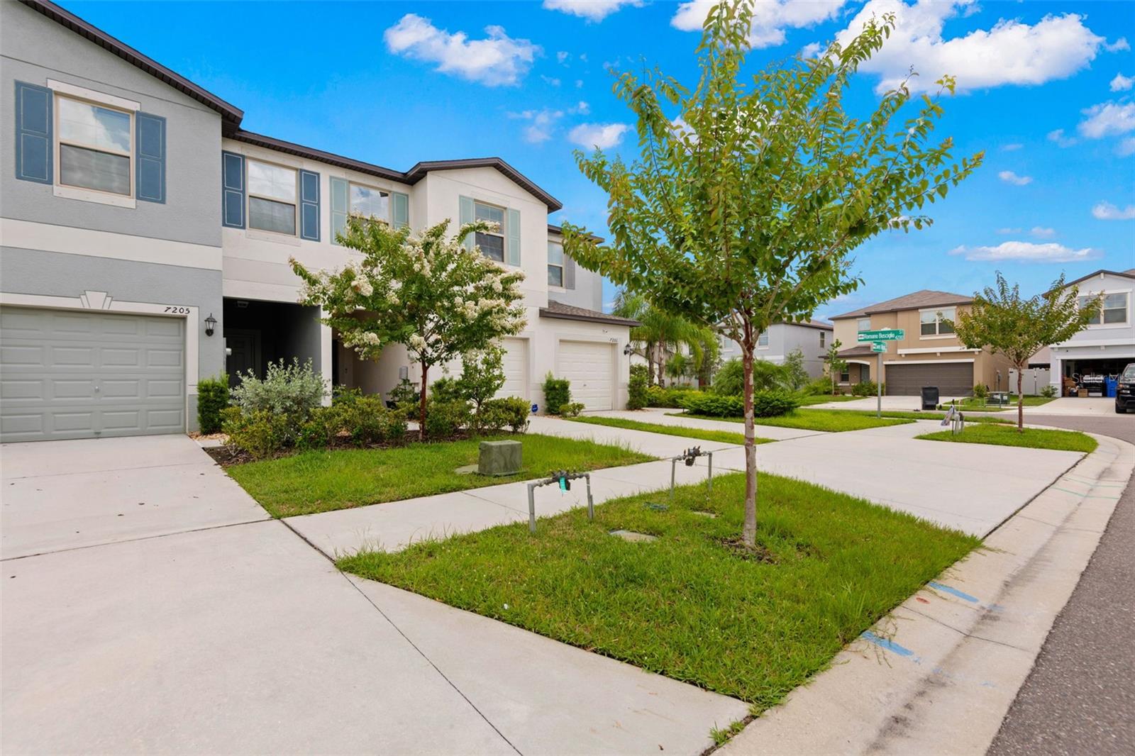 7203 SWEET ALYSSUM CT, TAMPA, FL, 33619