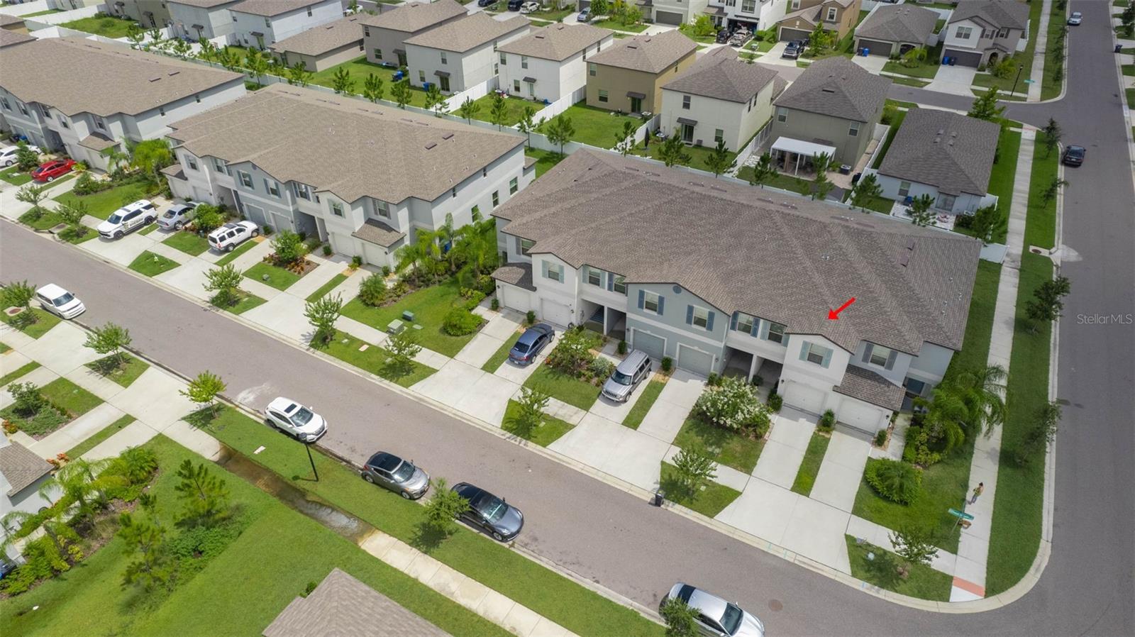 7203 SWEET ALYSSUM CT, TAMPA, FL, 33619