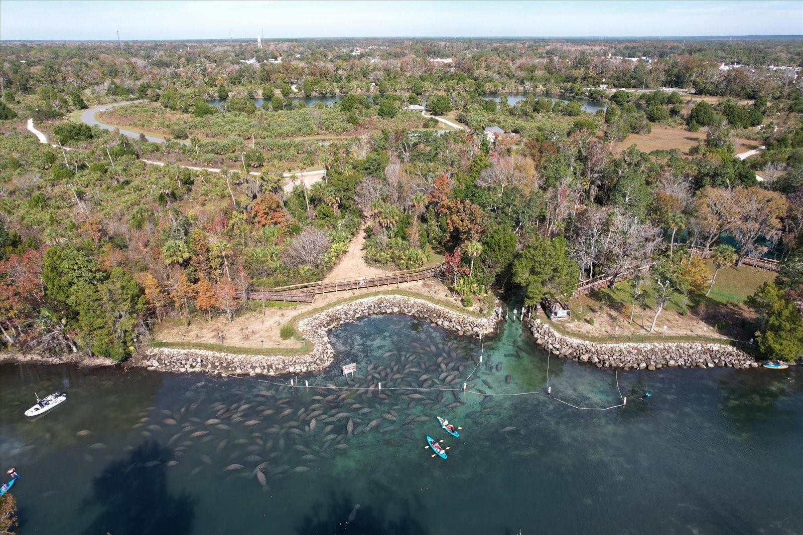 1174 SE 3RD ST, CRYSTAL RIVER, FL, 34429