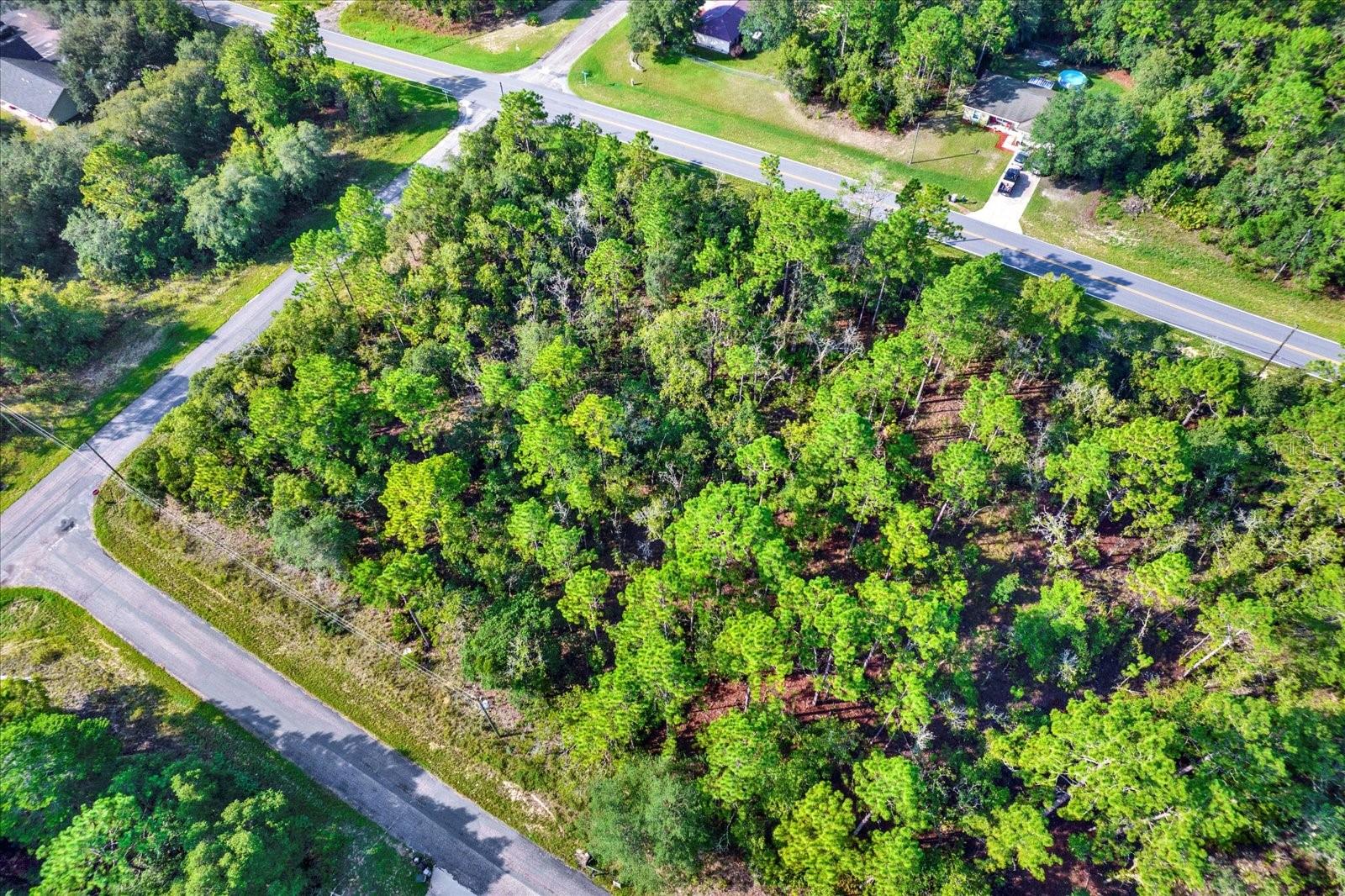 895 W HAMPSHIRE BLVD, CITRUS SPRINGS, FL, 34434