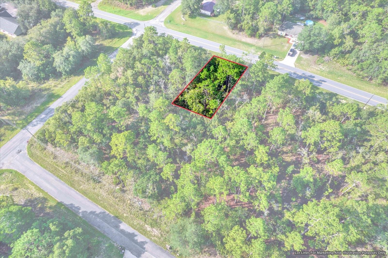 895 W HAMPSHIRE BLVD, CITRUS SPRINGS, FL, 34434