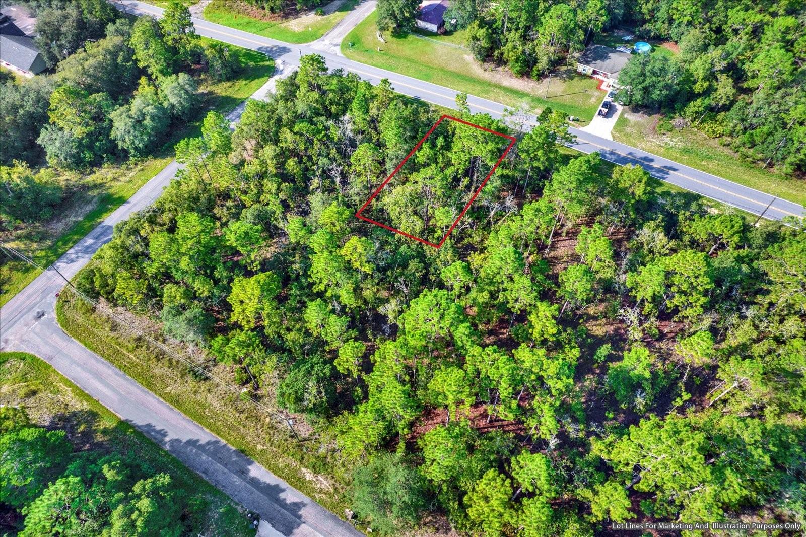 895 W HAMPSHIRE BLVD, CITRUS SPRINGS, FL, 34434