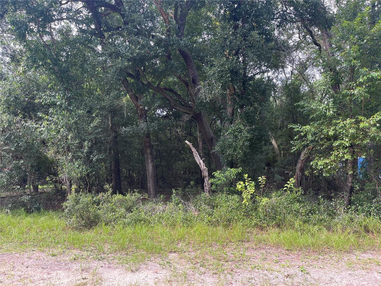 NORTH RD, ALTOONA, FL, 32702