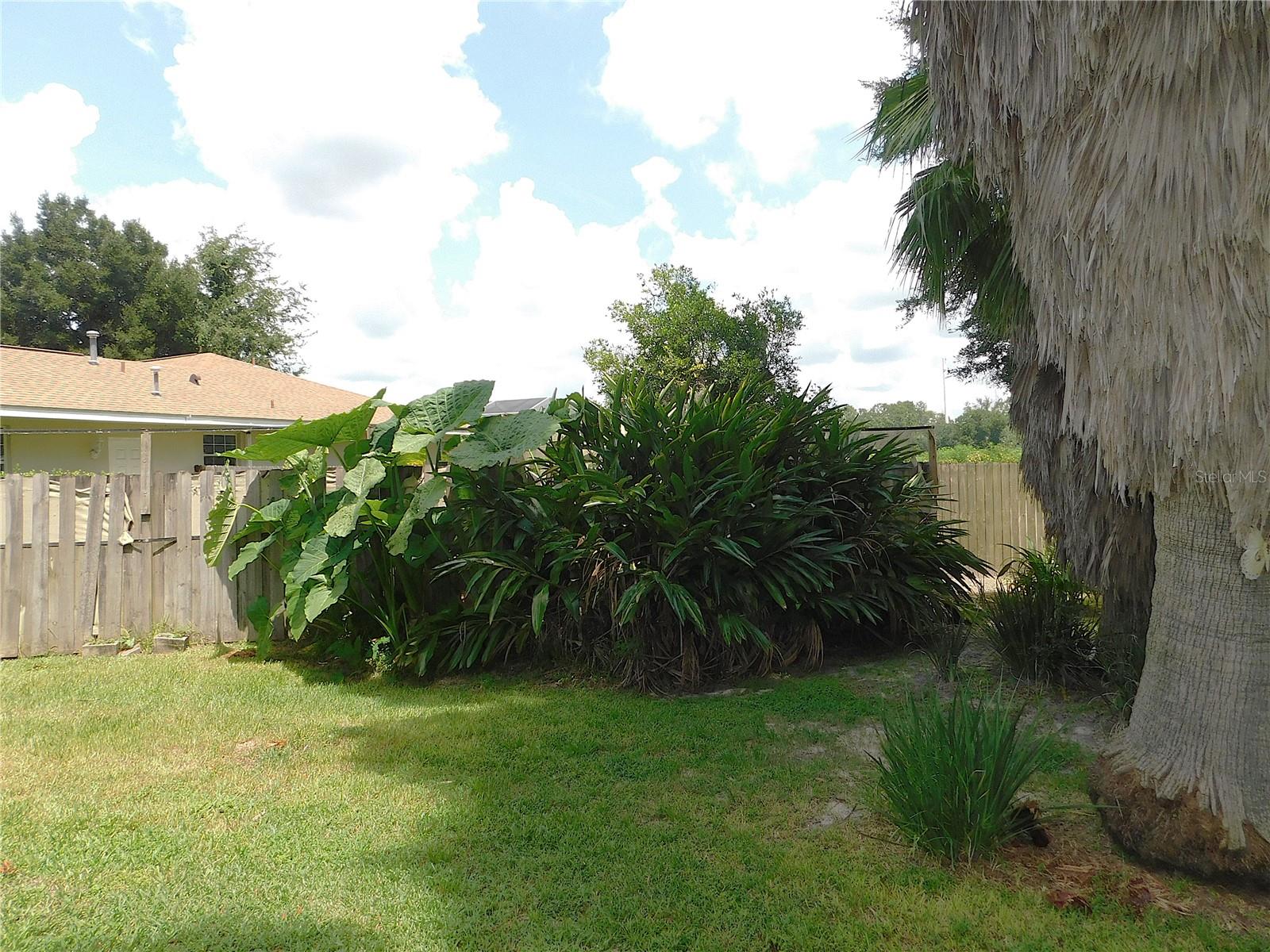 3241 SE 56TH TER, OCALA, FL, 34480