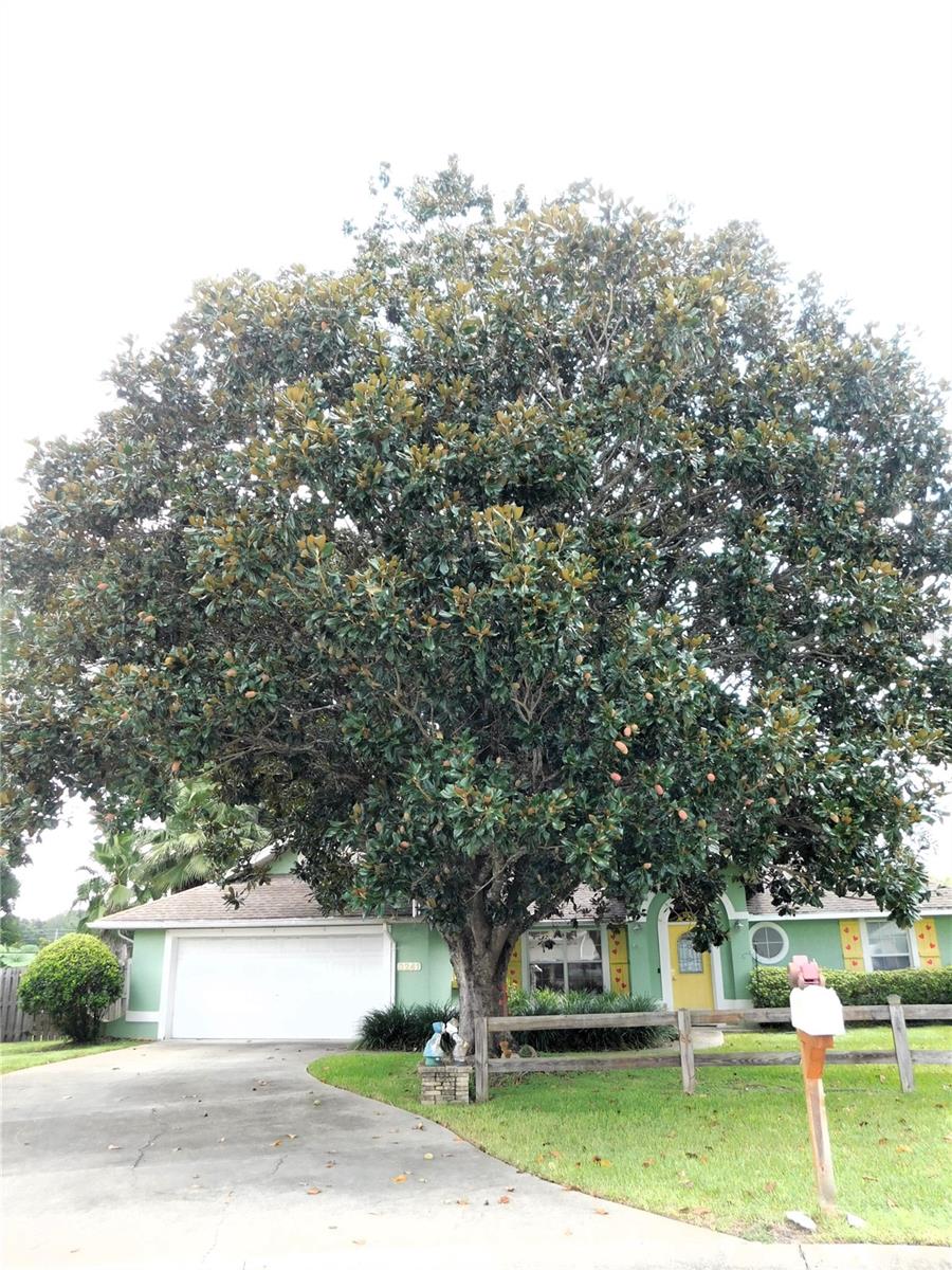 3241 SE 56TH TER, OCALA, FL, 34480