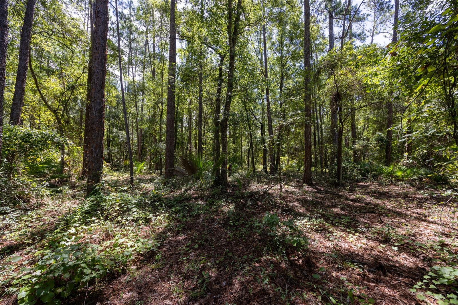 0 SE HAWTHORNE RD, HAWTHORNE, FL, 32640