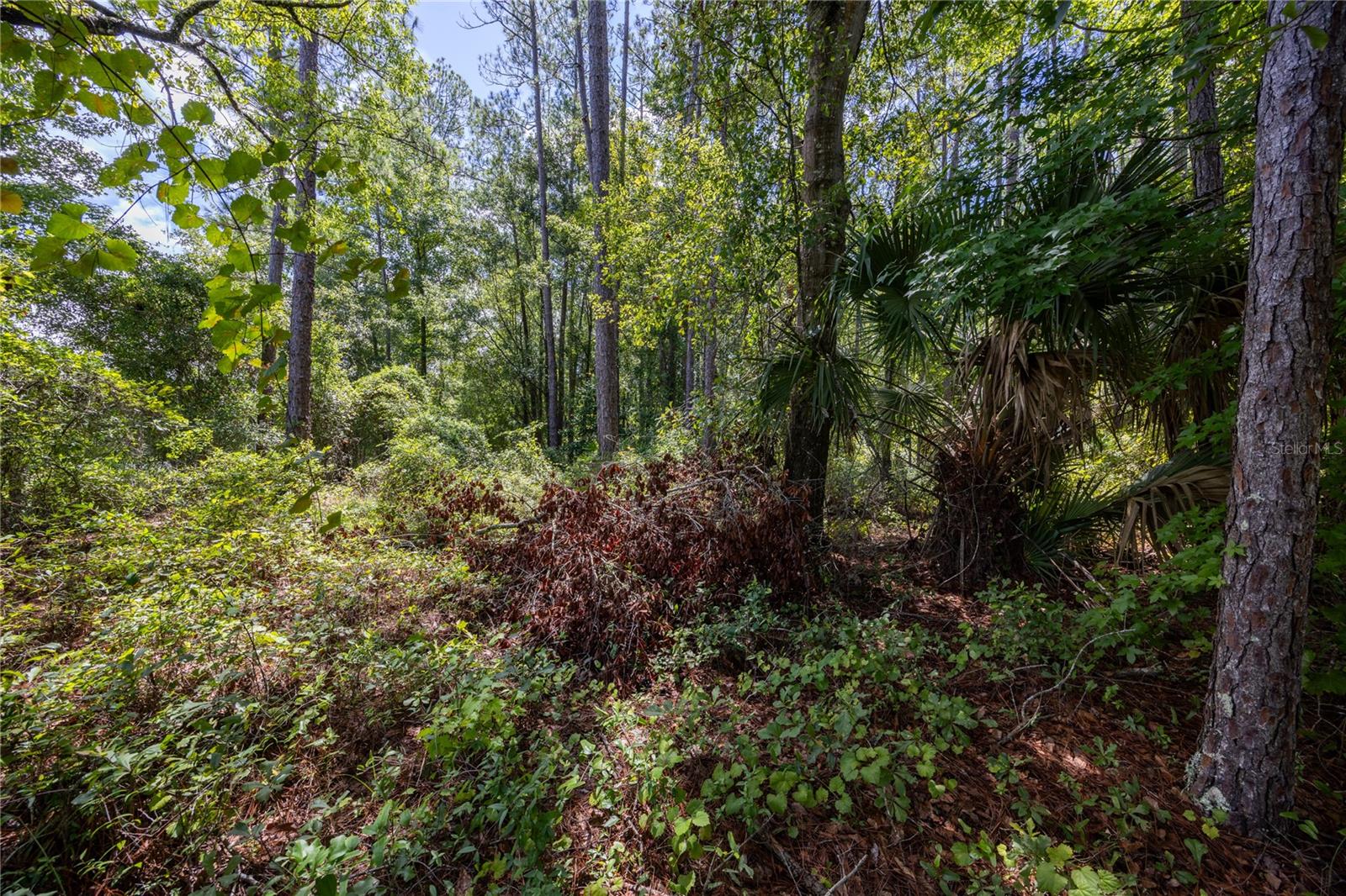 0 SE HAWTHORNE RD, HAWTHORNE, FL, 32640