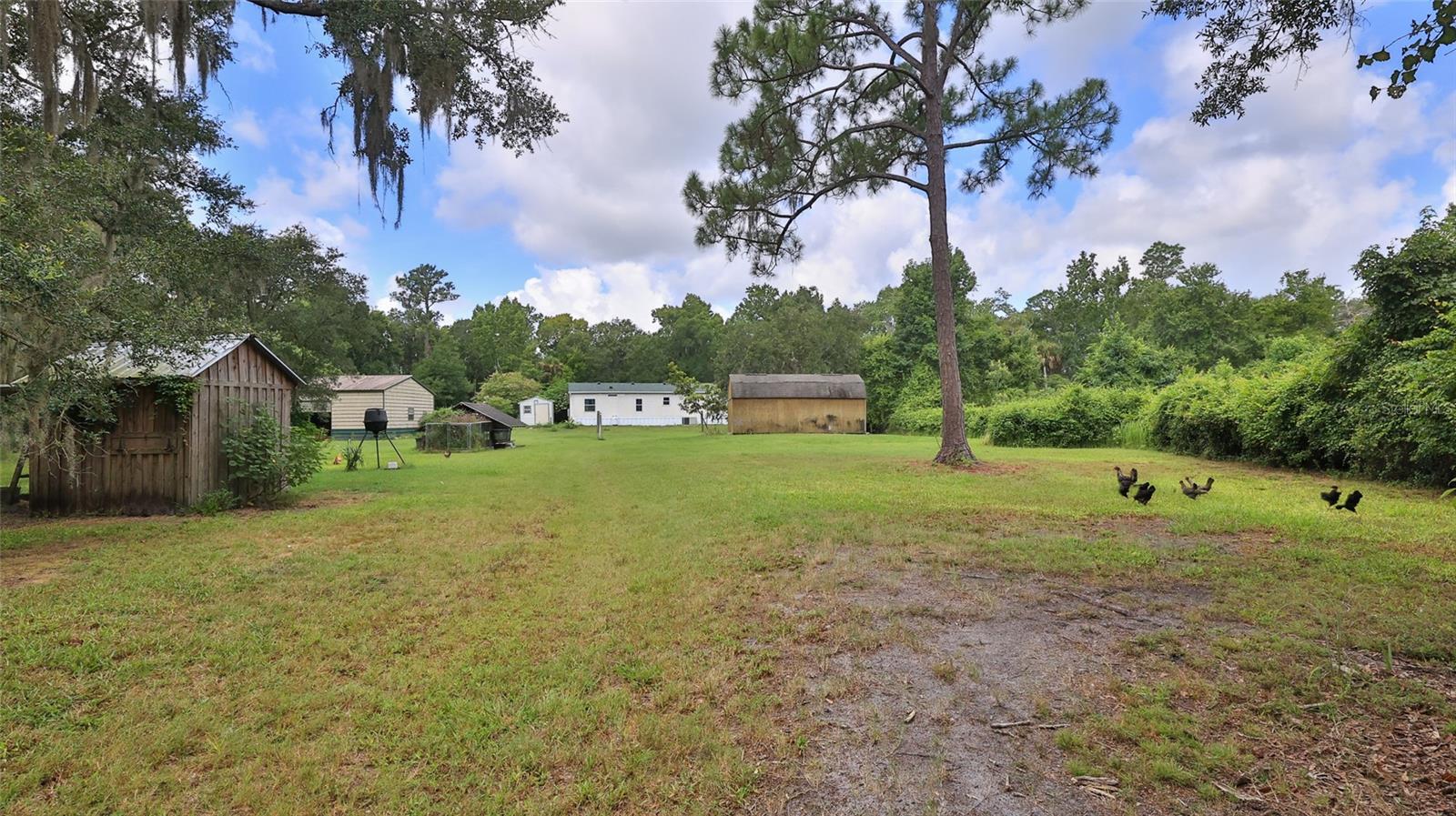 1165 VOLCO RD, EDGEWATER, FL, 32141