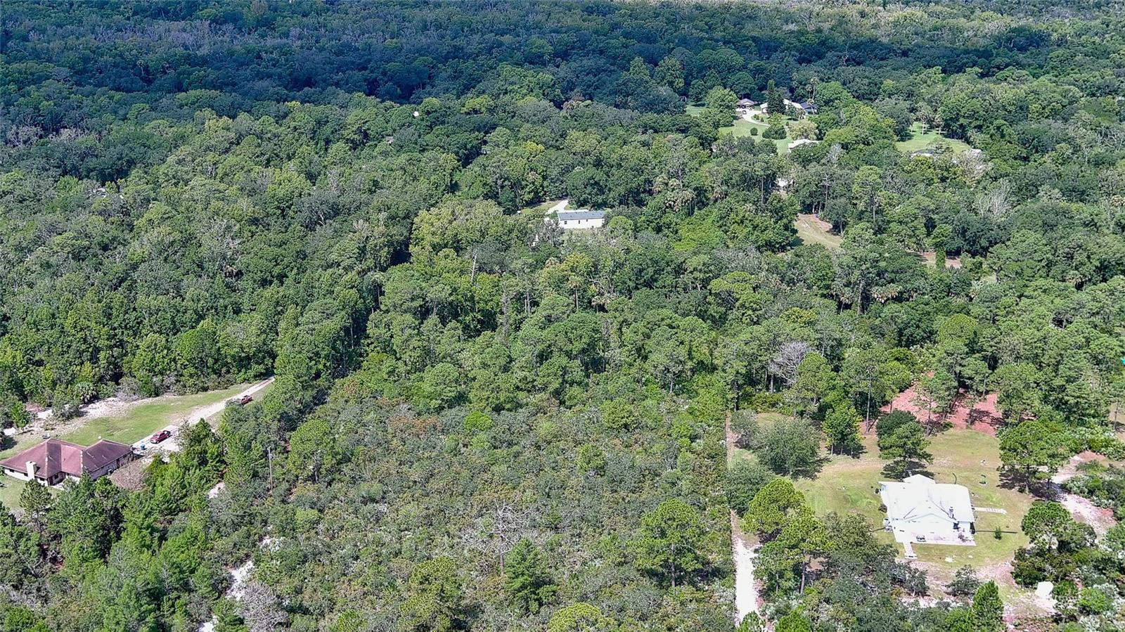 1165 VOLCO RD, EDGEWATER, FL, 32141