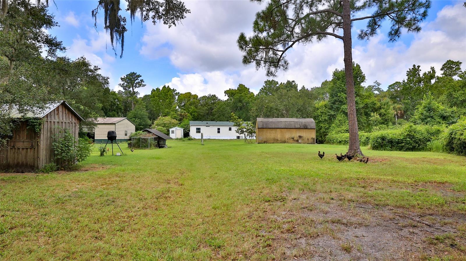 1165 VOLCO RD, EDGEWATER, FL, 32141