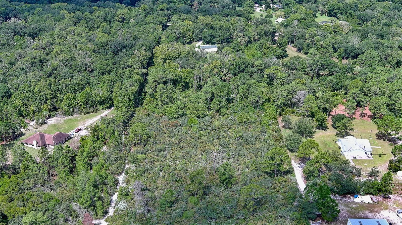 1165 VOLCO RD, EDGEWATER, FL, 32141