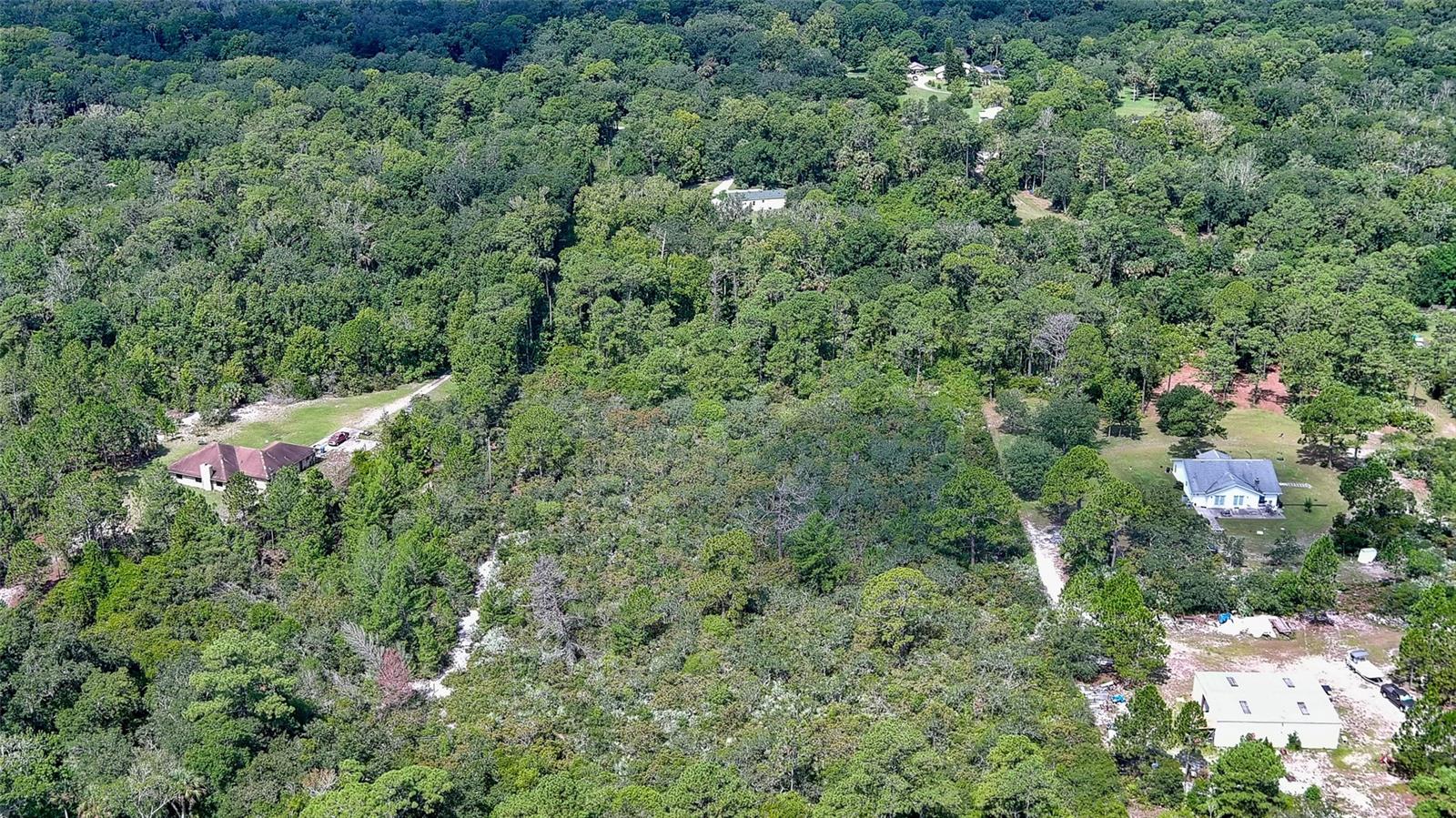 1165 VOLCO RD, EDGEWATER, FL, 32141