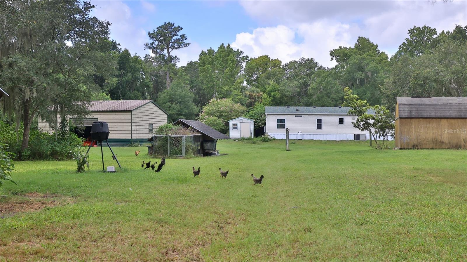 1165 VOLCO RD, EDGEWATER, FL, 32141