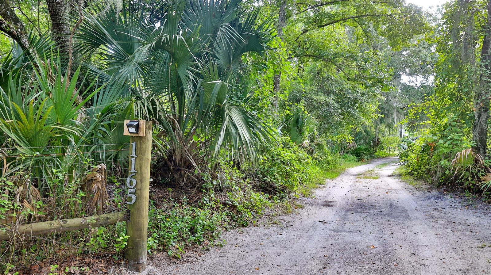 1165 VOLCO RD, EDGEWATER, FL, 32141
