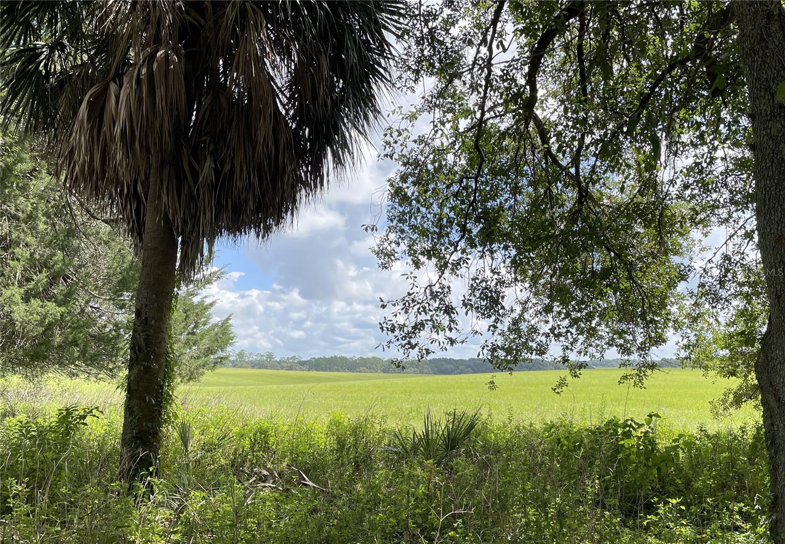 185 NW TIMBERLAKE RD, DUNNELLON, FL, 34431
