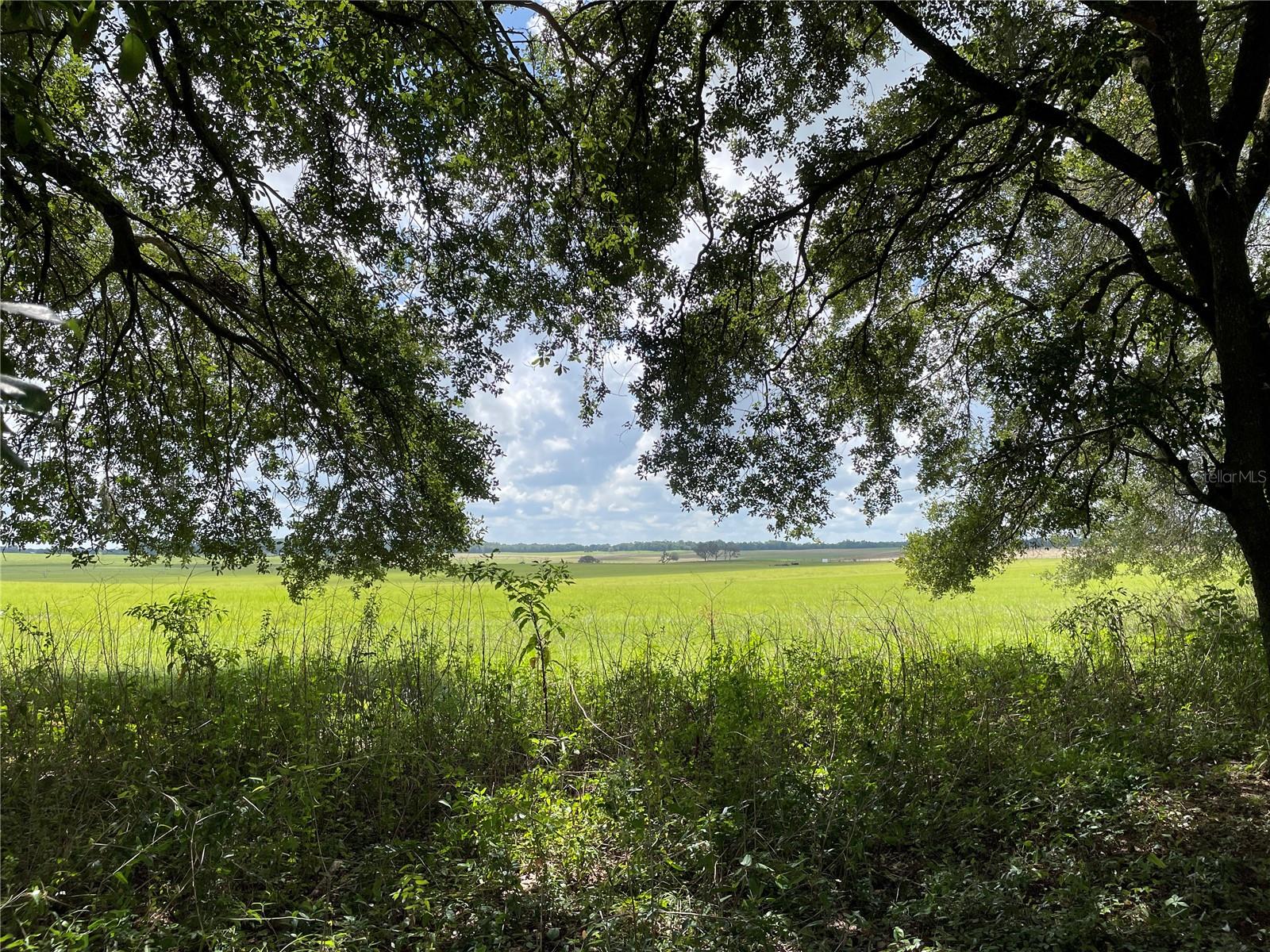 185 NW TIMBERLAKE RD, DUNNELLON, FL, 34431