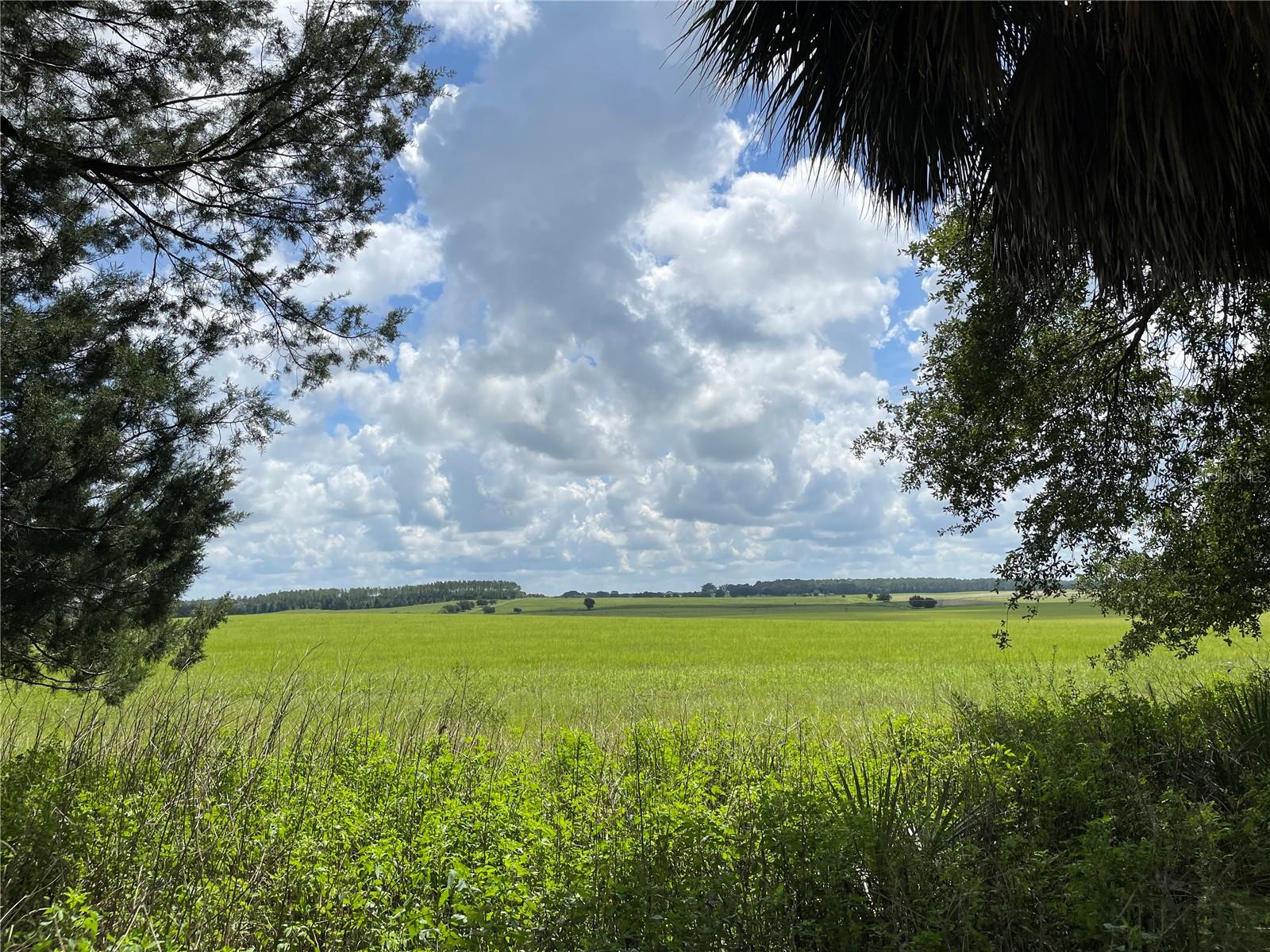 185 NW TIMBERLAKE RD, DUNNELLON, FL, 34431