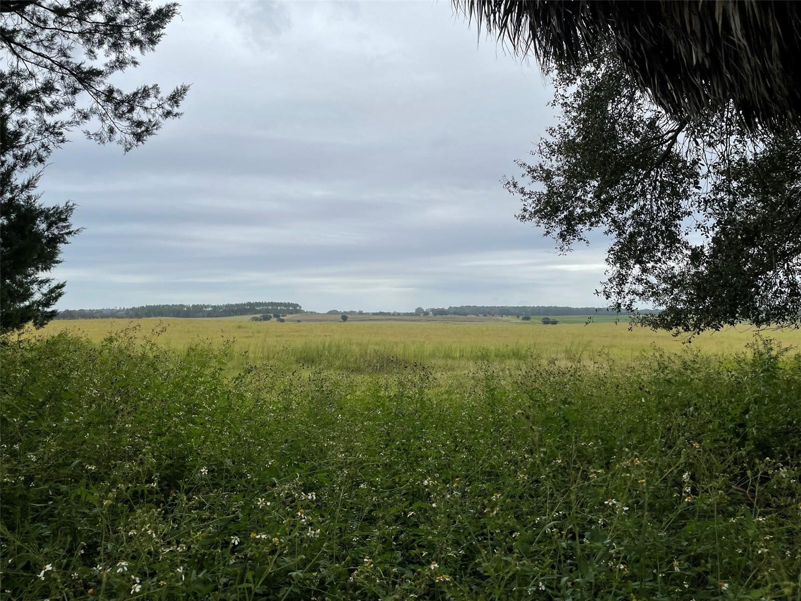 185 NW TIMBERLAKE RD, DUNNELLON, FL, 34431