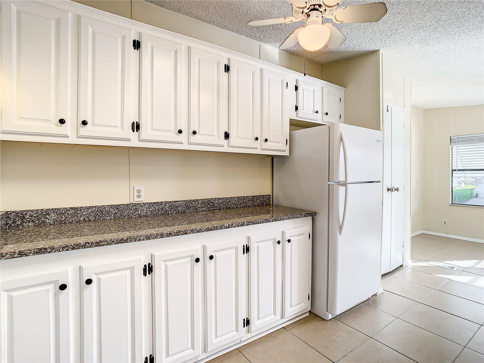 34051 BROWN BYU, WESLEY CHAPEL, FL, 33543