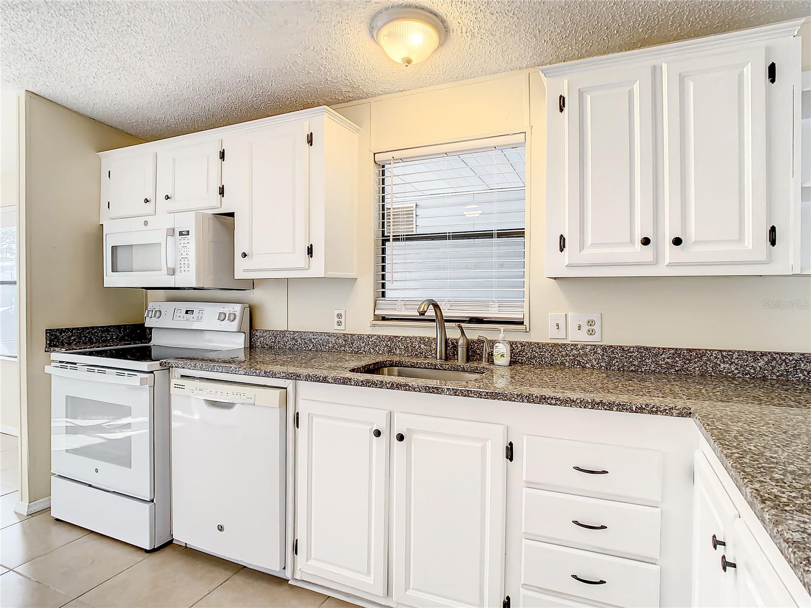 34051 BROWN BYU, WESLEY CHAPEL, FL, 33543