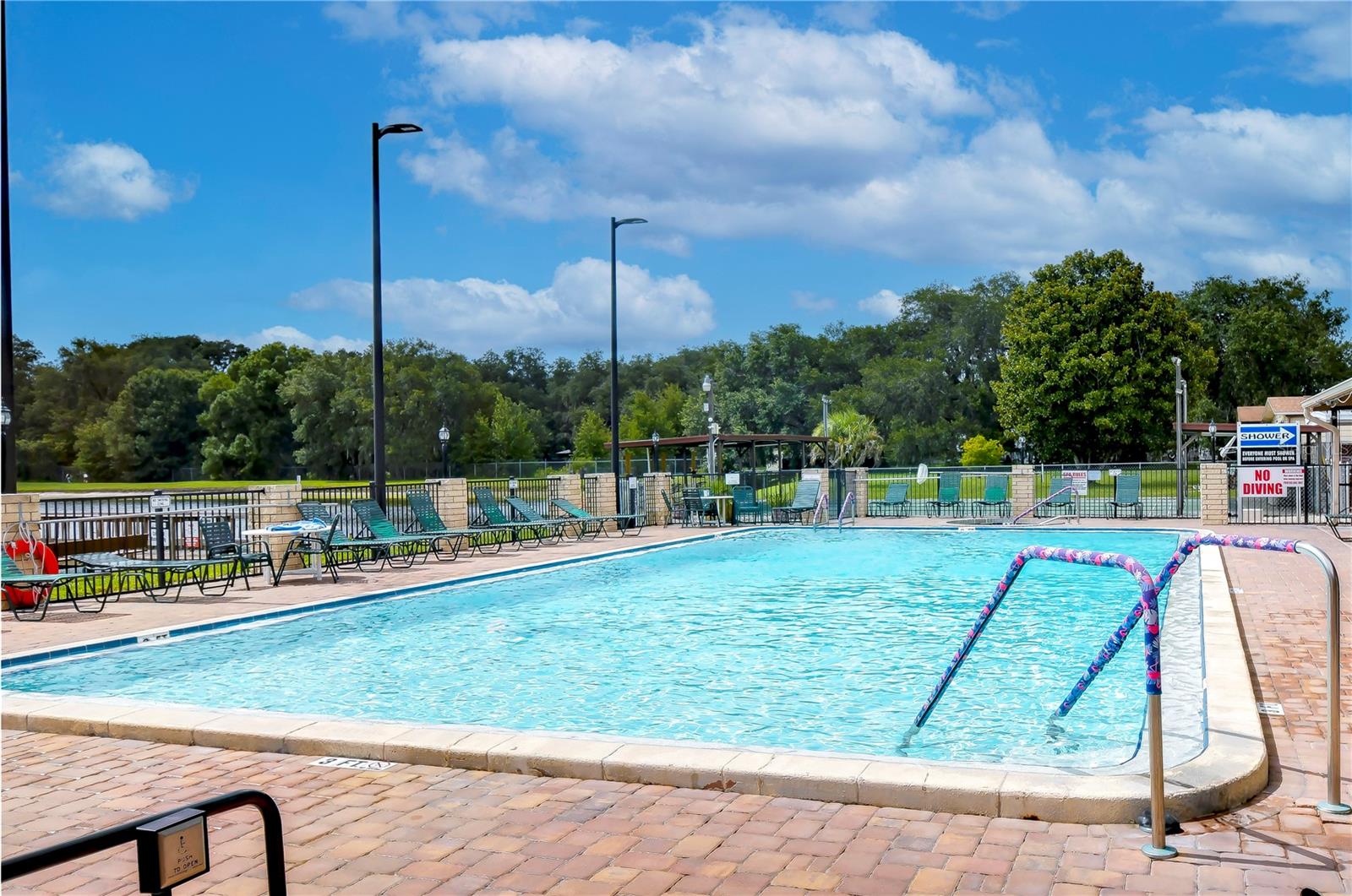 34051 BROWN BYU, WESLEY CHAPEL, FL, 33543