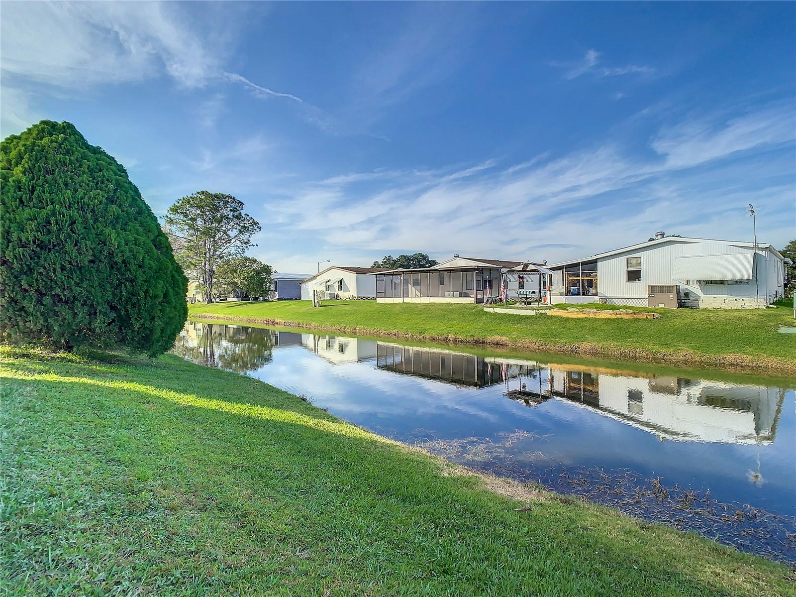 34051 BROWN BYU, WESLEY CHAPEL, FL, 33543