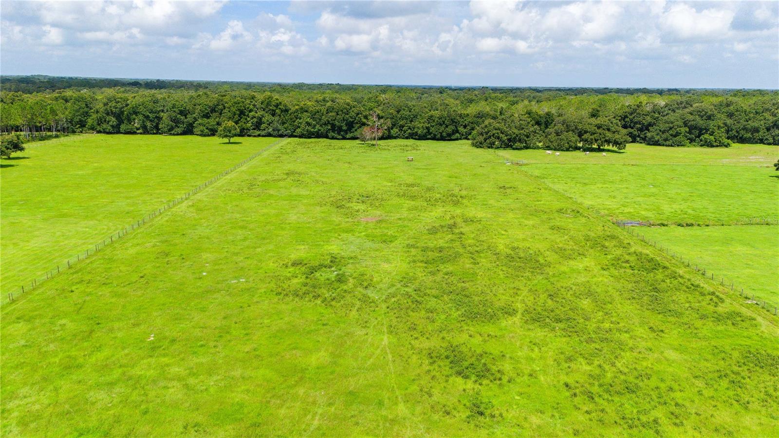 00 SW 15TH DR., WEBSTER, FL, 33597