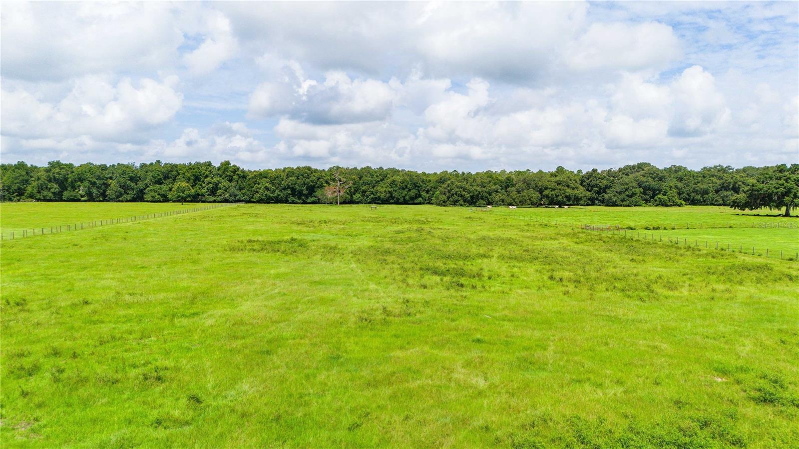 00 SW 15TH DR., WEBSTER, FL, 33597