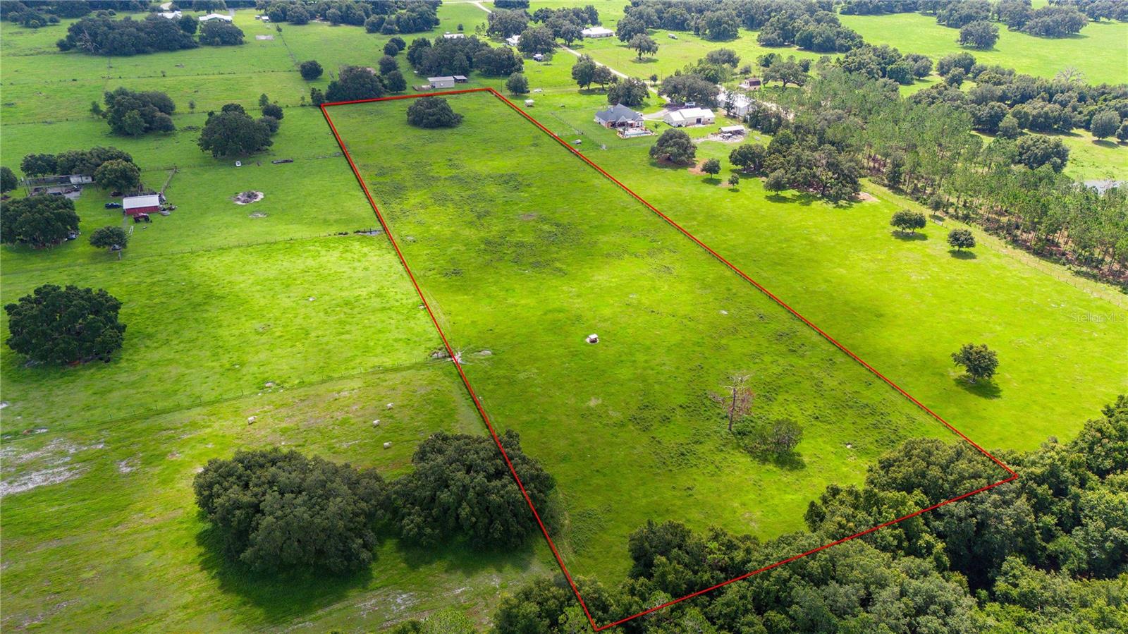 00 SW 15TH DR., WEBSTER, FL, 33597