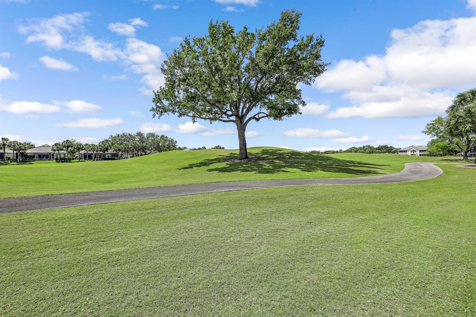 9231 PALMETTO RIDGE DR #102, ESTERO, FL, 34135