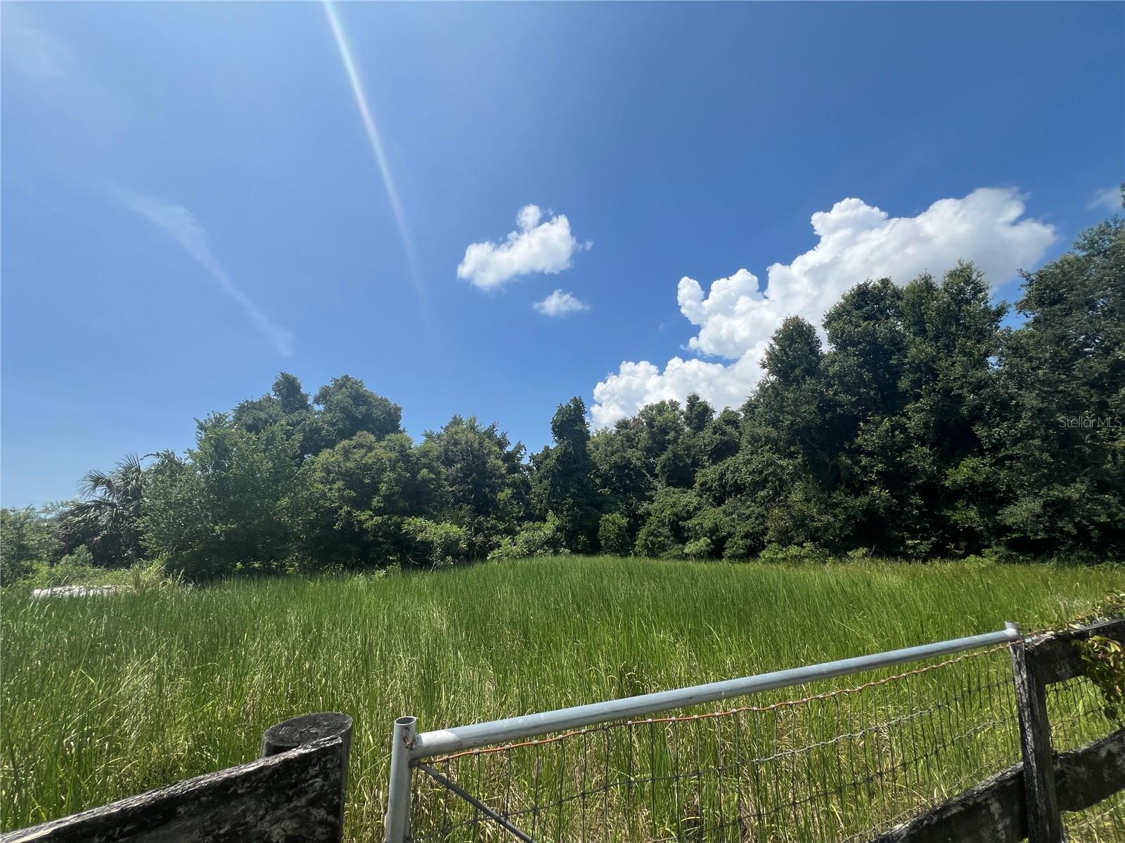 SE 144TH PL, SUMMERFIELD, FL, 34491