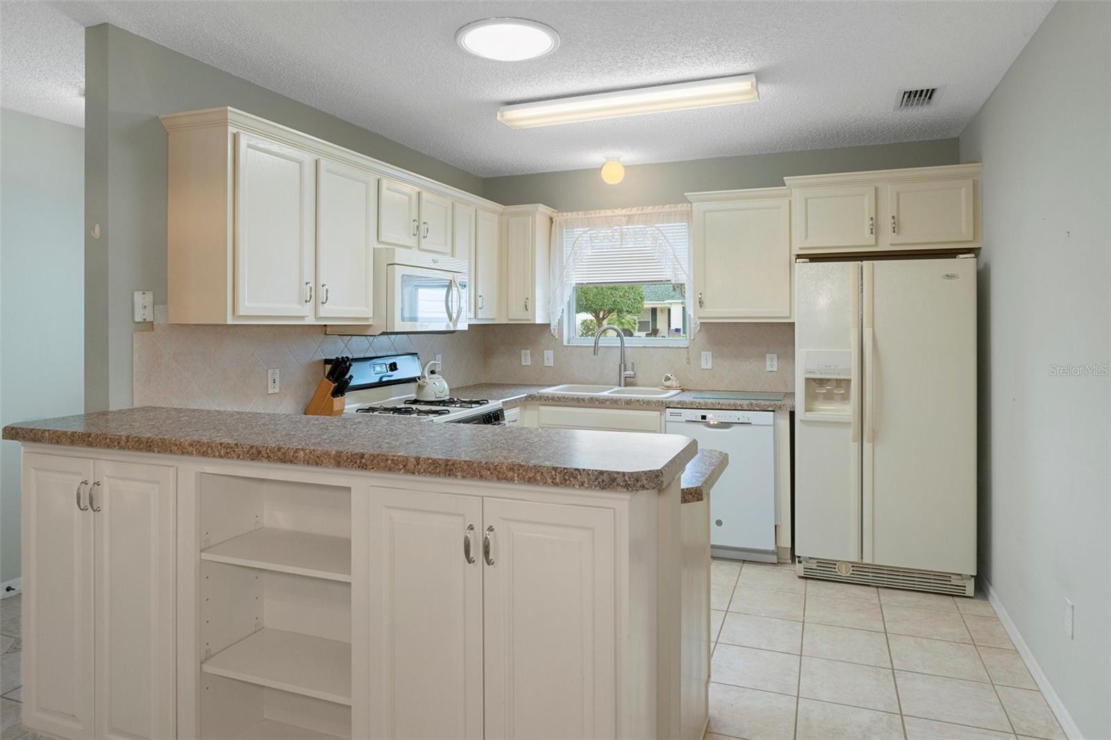 1315 CARVELLO DR, THE VILLAGES, FL, 32162